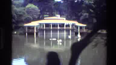 Thailand (1984): House On A Lake And A Palm Tree And White Bird Flying Out The
