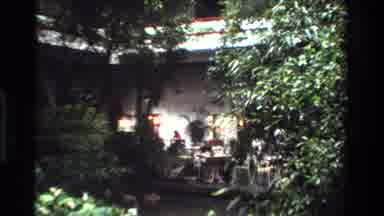 Thailand (1984): Super Tall Botanical Stacked With Plants On Every Single Row