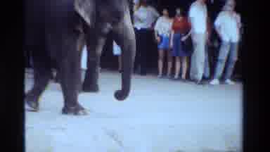 Thailand (1984): Man Riding An Elephant Pulling A Huge Wooden Log Surrounded By