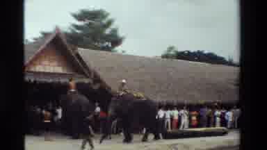 THAILAND-1984: Man Riding Asian Elephant Pulling A Log Through Village