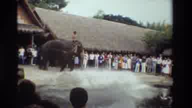 Thailand (1984): Elephant Knocks Over And Then Retrieves A Log From River In Front