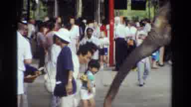 Thailand (1984): Elephant Is Playing With A Kid On A Street With His Nose