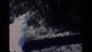 Aliso Viejo California USA (1977): White Cat Looking At Something In Garden