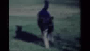 Aliso Viejo California USA (1977): A Intelligent Dog Playing With A Ball At The