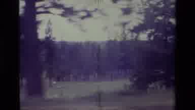 Big Bear California USA (1977): Grainy Landscape Trees Driving