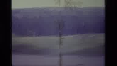 Big Bear California USA (1977): Man Driving And Stopping To Scenic Lake To Enjoy