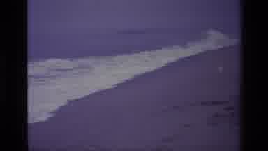 Laguna Beach California USA (1977): Dog On The Beach