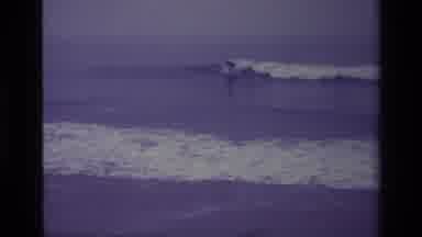 Laguna Beach California USA (1977): Someone Surfing On Sea Waves And A Dog Running