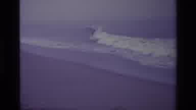 Laguna Beach California USA (1977): People Surfing On Waves As They Break Near