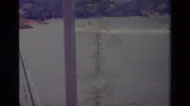 Lake Elsinore California USA (1977): People Water Skiing While An Image Of A Tree