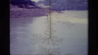 Lake Elsinore California USA (1977): Person Water Skiing On A Lake Near The Shore