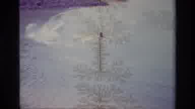 Lake Elsinore California USA (1977): Man In Life Vest Braces Himself On Water Skis