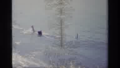 Lake Elsinore California USA (1977): Swimming In The River