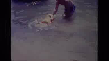 Canyon Lake California USA (1978): Adult Teaching Child To Swim By Starting With
