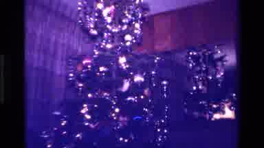 California USA (1979): A Tall Christmas Tree With Many Beautiful Lights And A