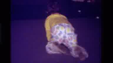 California USA (1979): A Little Baby Crawling Somewhere She Is Not Suppose To Be