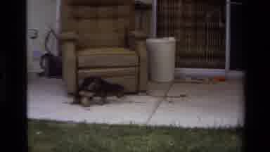 Laguna Beach California USA (1979): Home Video Of A Woman Holding Her Newly