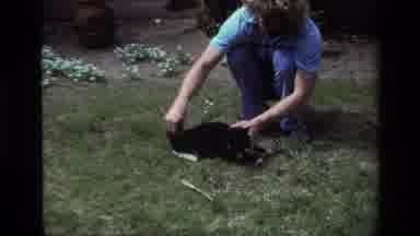 Laguna Beach California USA (1979): A Lady In Blue Pants And Shirt Petting The