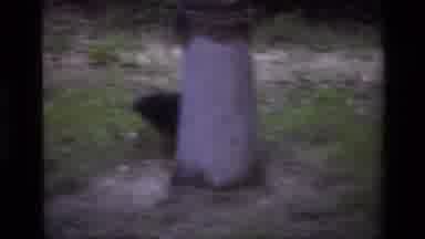 Laguna Beach California USA (1979): Small Black And Brown Dog Licking Woman And