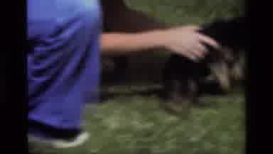 Laguna Beach California USA (1979): Two Small Puppies Playing And Running Around