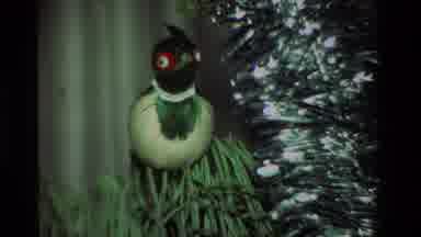 California USA (1981): Old Video Of Decorations Hanging On A Christmas Tree