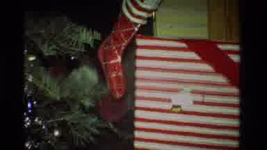 California USA (1981): Christmas Trees And Some Decoration: Santa Claus And A Red