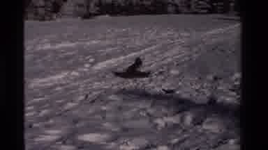 California USA (1981): A Kid Going Down A Big Hill Covered In Snow Backwards On A