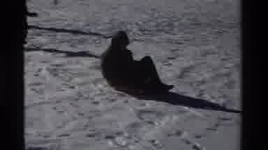 California USA (1981): Toboggan Ride On Shallow Snow Slope Hill