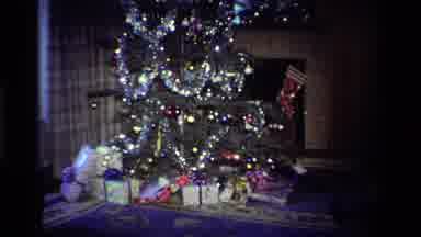 California USA (1984): Cat Passes Decorated Christmas Tree With Gifts As Room