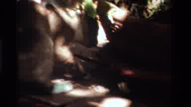 California USA (1984): Curious Cat Looking And Admiring Something Surrounded In