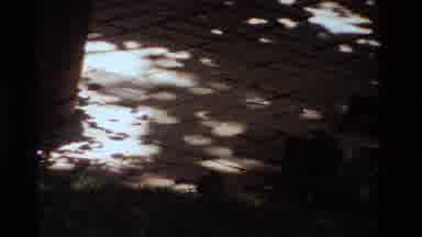 California USA (1984): A Rodent Being Chased By A Larger Feline Outside During