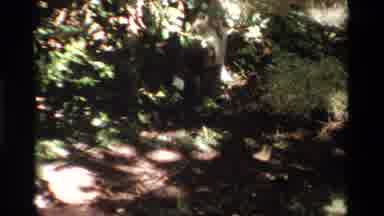 California USA (1984): Pets And Rodent Playing On A Sunday In The Garden Each In