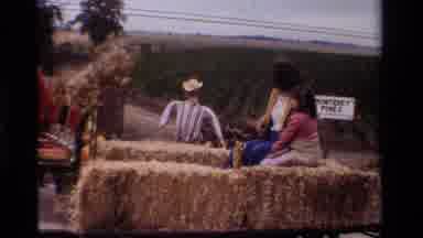 California USA (1984): Horse Riding With Chariot