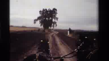California USA (1984): Carriage Road Down A Dirt Road