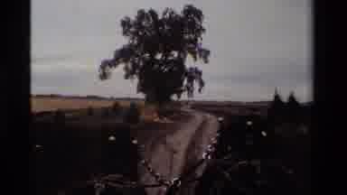 California USA (1984): Horse Drawn Carriage Gets Pulled Past Large Tree And Teepee
