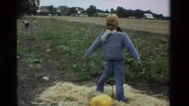 California USA (1984): Scarecrow In A Field A Woman And A Boy Harvesting Pumpkins