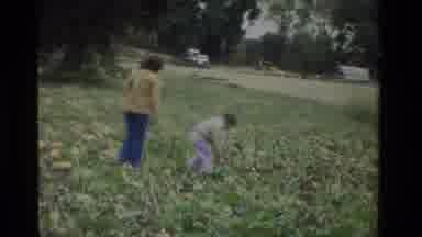 California USA (1984): Mother And Daughter Split Garden Pumpkins