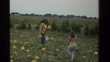 CALIFORNIA USA-1984: Mother And Daughter Picking Pumpkins In Field