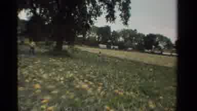 California USA (1984): Girl Collecting Fruits In Garden