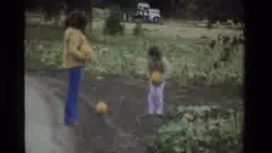 California USA (1984): A Little Girl And Her Mom Trying To Carry Two Big Pumpkins