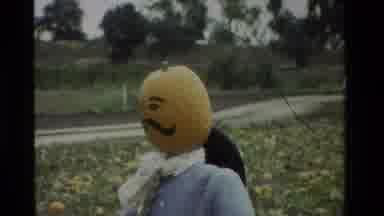 California USA (1984): Woman Walking Through Pumpkin Patch Carrying Pumpkin And