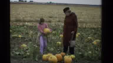 California USA (1984): Young Girl Selecting A Pumpkin With Her Grandmother And