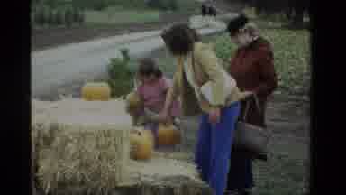 California USA (1984): Young Girl Picking Out A Pumpkin At A Roadside Stand With