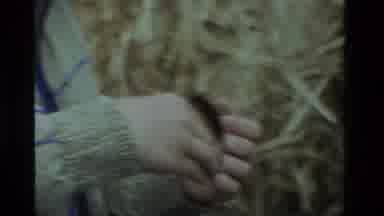 California USA (1984): Two Women In A Garden Playing With Caterpillars