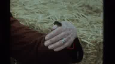 California USA (1984): Bushy Haired Woman Picking A Small Pumpkin