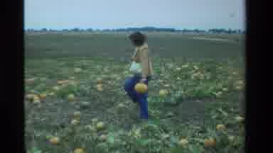 California USA-1984: Dark-Haired Woman Walking Through Pumpkin Patch Carrying A Pumpkin