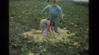 California USA (1984): Young Girl Picking Up Pumpkins Around Scarecrow