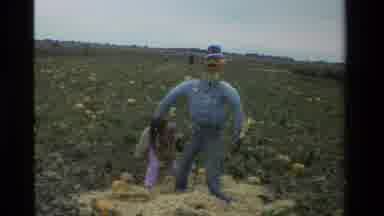 California USA (1984): Scarecrow Field