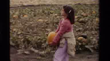 California USA (1984): Pumpkins Ready For Halloween