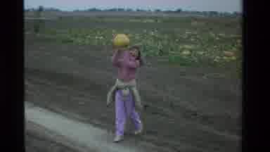 California USA (1984): A Girl Walking Up Showing Her Big Pumpkin That She Picked